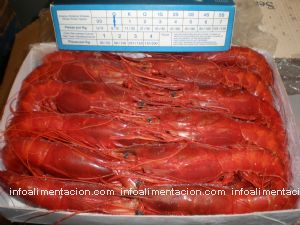 venta crustaceos